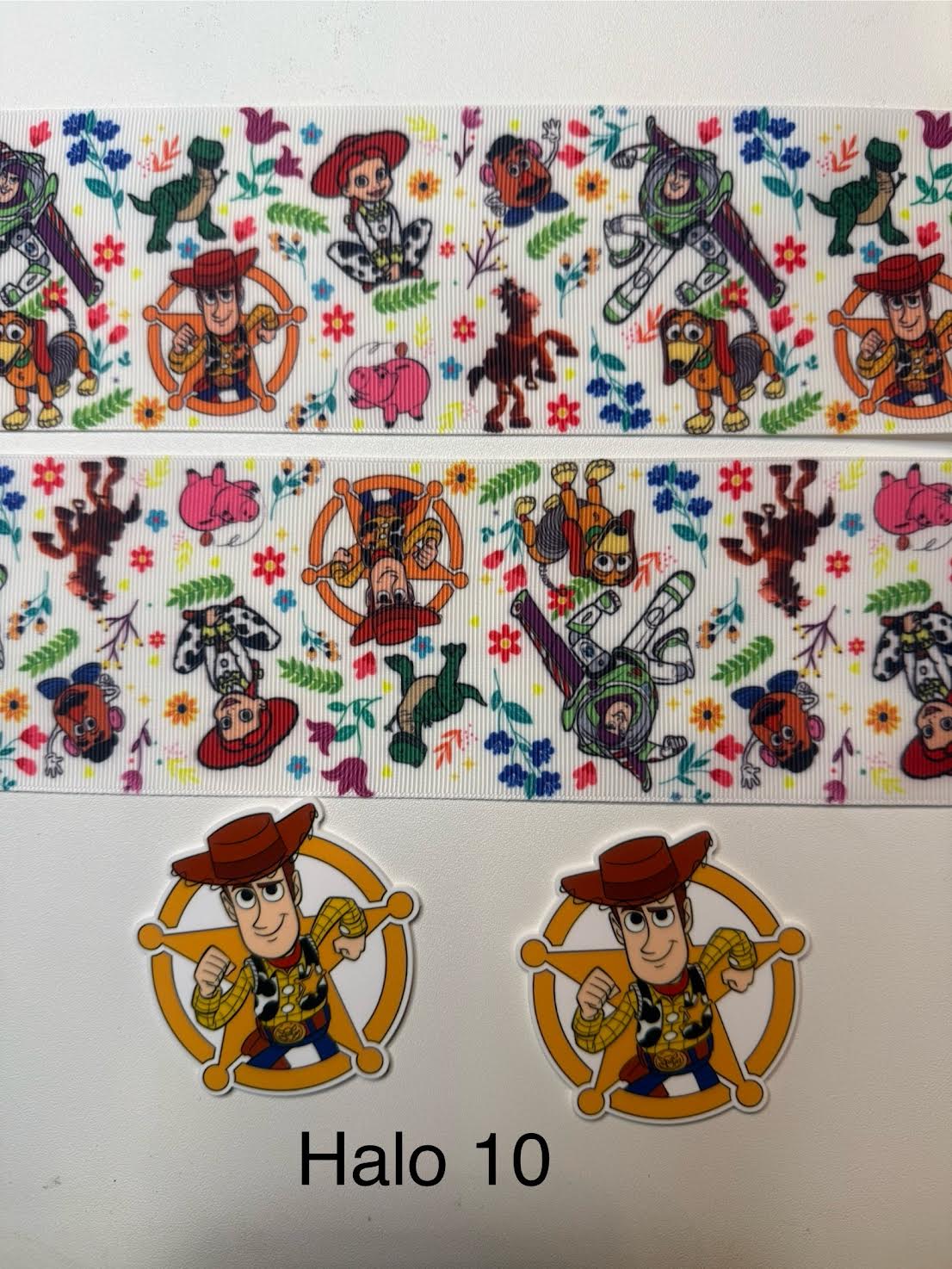 Ribbon with Acrylics Sets/Liston con Resinas (2 yardas de listón vibrante con 2 piezas llamativas de Resinas)