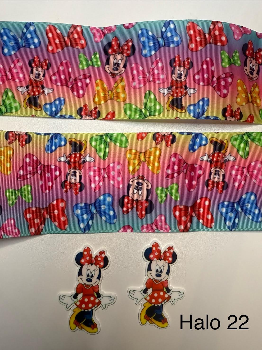 Ribbon with Acrylics Sets/Liston con Resinas (2 yardas de listón vibrante con 2 piezas llamativas de Resinas)