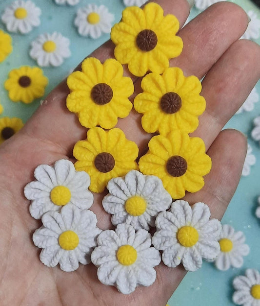 Compliments/Complementos