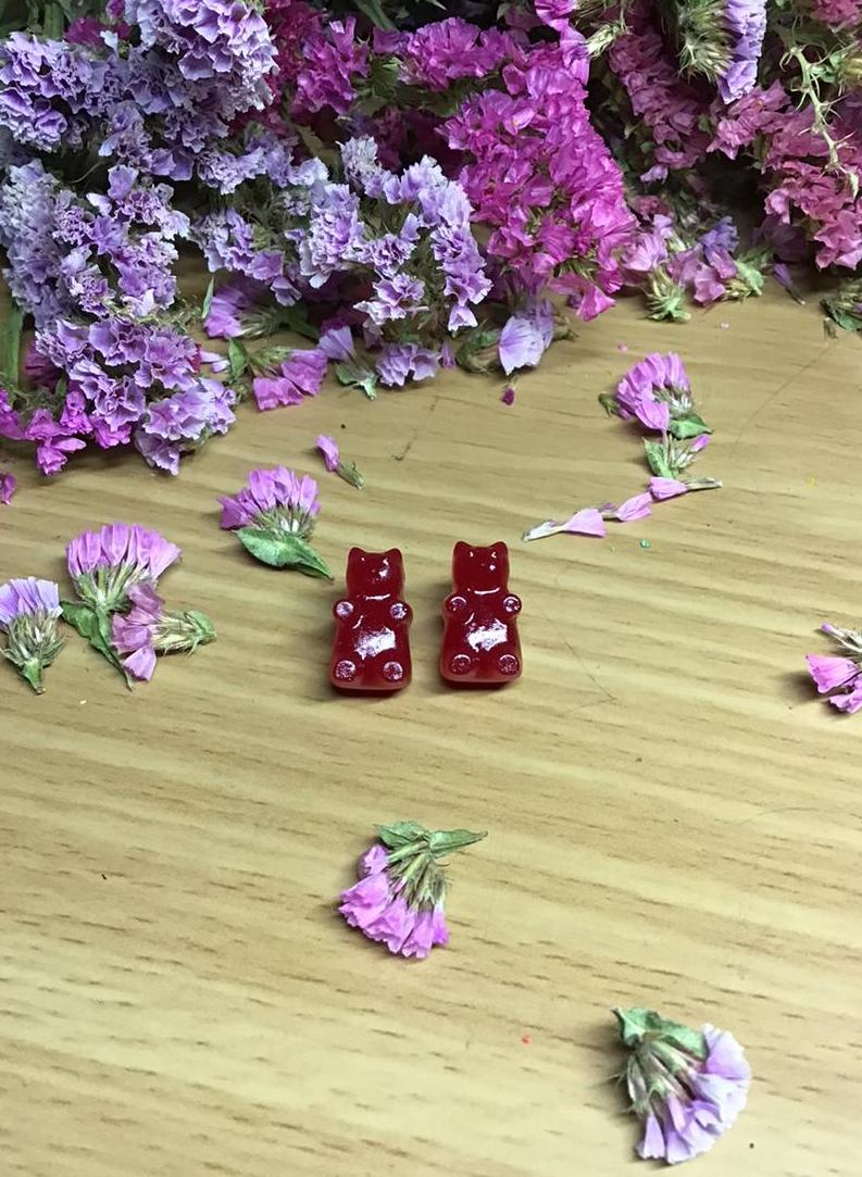 Food Keychain, Pins and Earings