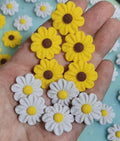 Compliments/Complementos